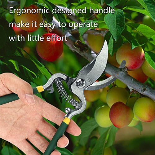 Градински Ножици За Подстригване, плодно дръвче Бонзай Ножици SK5 Нож от Легирана Стомана за Стайни растения и Цветя