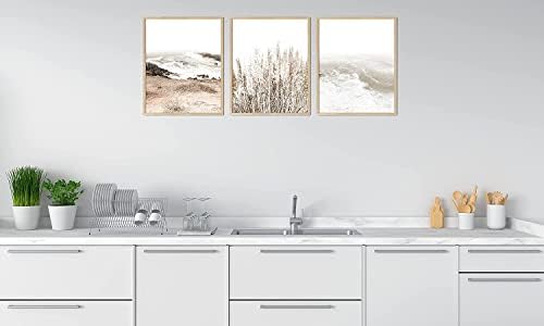 Комплект от 3 Стенни Щампи с образа на природата, Снимки от Ботаническата Принтом, Изсушени цветя Пампасных планини и